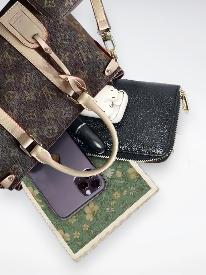 DBS-LC445 - Soufflot BB Handbag Deal - Image 2