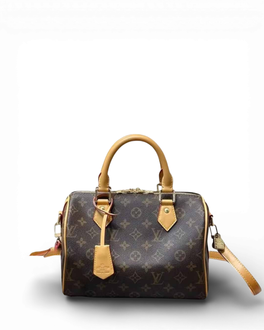 BB-LC367 - Louis Vuitton Big Bag