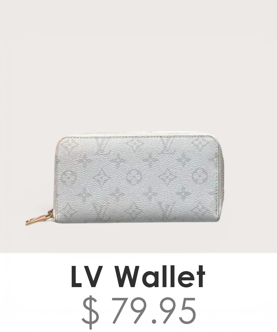 Louis Vuitton Wallet - WL039
