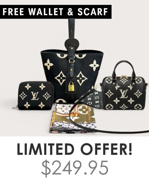 Bag + Nano speedy + Gifts (Free LV Wallet + Free LV Silk Scarf)