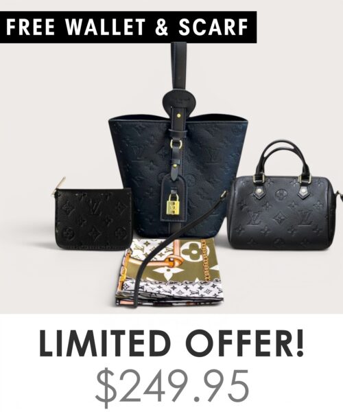 Big bag + Nano speedy + Gifts (Free LV Wallet + Free LV Silk Scarf)
