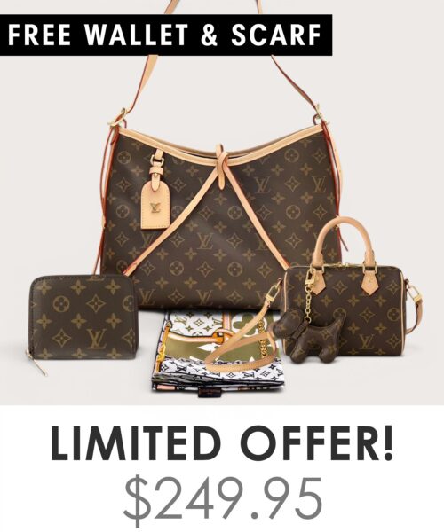 Bag + Nano speedy + Gifts (Free LV Wallet + Free LV Silk Scarf)