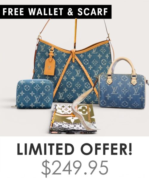 Bag + Nano speedy + Gifts (Free LV Wallet + Free LV Silk Scarf)