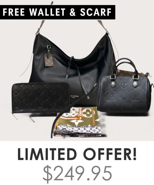 Big bag + Nano speedy + Gifts (Free LV Wallet + Free LV Silk Scarf)