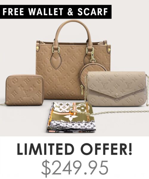 Bag + Pochette Felicie + Gifts(Free LV Wallet + Free LV Silk Scarf)