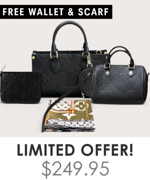 Big bag + Nano speedy + Gifts (Free LV Wallet + Free LV Silk Scarf)