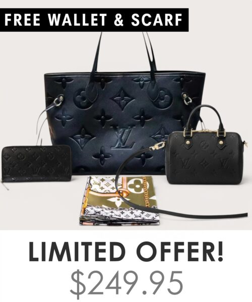 Bag + Nano speedy + Gifts (Free LV Wallet + Free LV Silk Scarf)