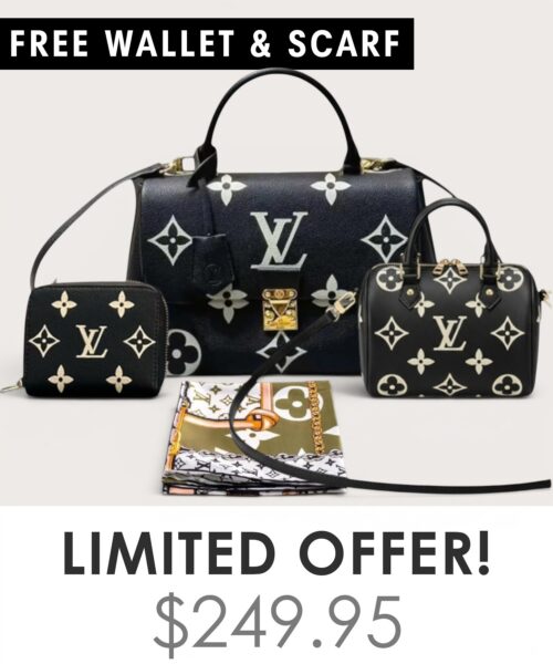 Bag + Nano speedy + Gifts (Free LV Wallet + Free LV Silk Scarf)