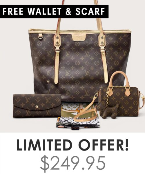 Bag + Nano speedy + Gifts (Free LV Wallet + Free LV Silk Scarf)