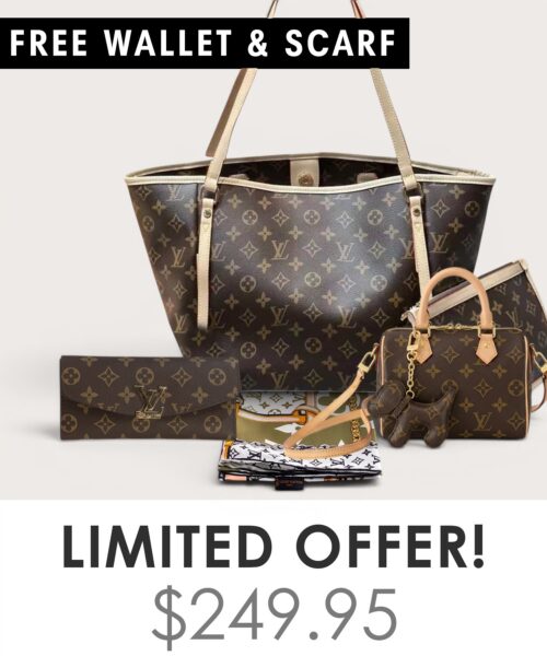 Bag + Nano speedy + Gifts (Free LV Wallet + Free LV Silk Scarf)
