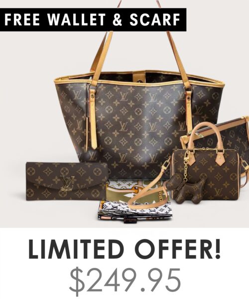 Bag + Nano speedy + Gifts (Free LV Wallet + Free LV Silk Scarf)