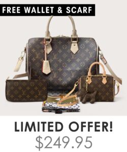 Big bag + Nano speedy + Gifts (Free LV Wallet + Free LV Silk Scarf)