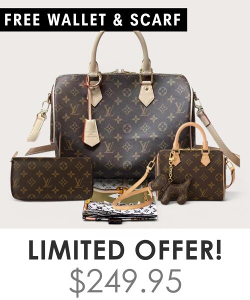 Big bag + Nano speedy + Gifts (Free LV Wallet + Free LV Silk Scarf)