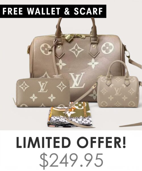 Big bag + Nano speedy + Gifts (Free LV Wallet + Free LV Silk Scarf)