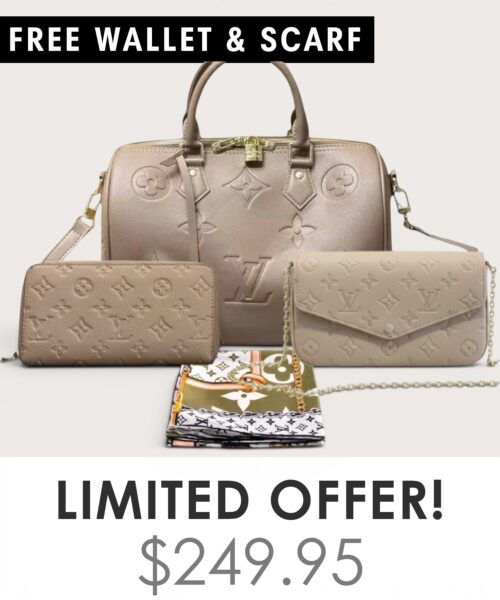 Big bag + Pochette Felicie Mini + Gifts(Free LV Wallet + Free LV Silk Scarf)