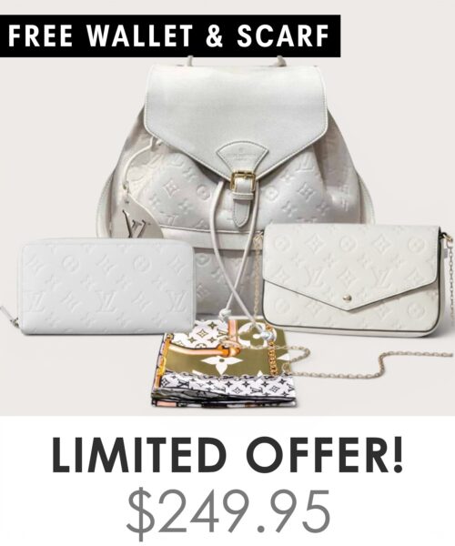 Bag + Pochette Felicie + Gifts(Free LV Wallet + Free LV Silk Scarf)