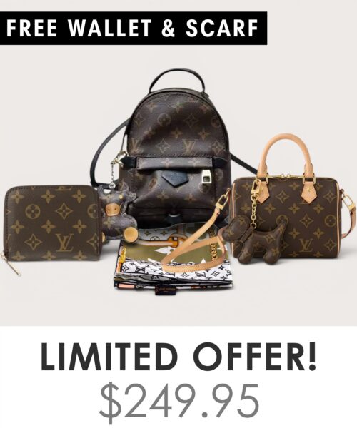 Bag + Nano speedy + Gifts (Free LV Wallet + Free LV Silk Scarf)