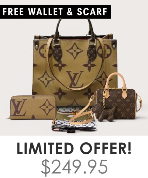 Bag + Nano speedy + Gifts (Free LV Wallet + Free LV Silk Scarf)