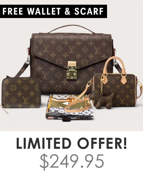 Bag + Nano speedy + Gifts (Free LV Wallet + Free LV Silk Scarf)