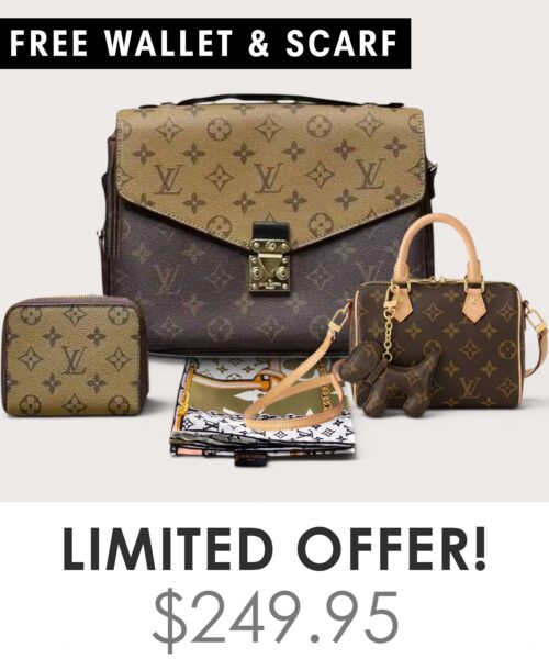 Bag + Nano speedy + Gifts (Free LV Wallet + Free LV Silk Scarf)