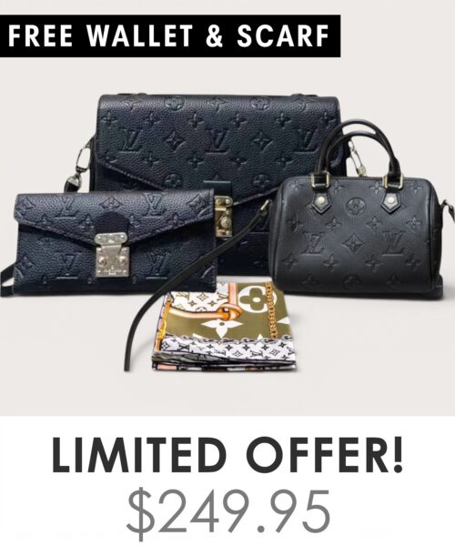 Bag + Nano speedy + Gifts (Free LV Wallet + Free LV Silk Scarf)