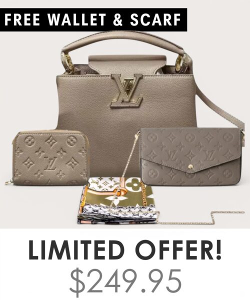 Bag + Pochette Felicie + Gifts(Free LV Wallet + Free LV Silk Scarf)