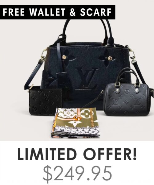 Big bag + Nano speedy + Gifts (Free LV Wallet + Free LV Silk Scarf)
