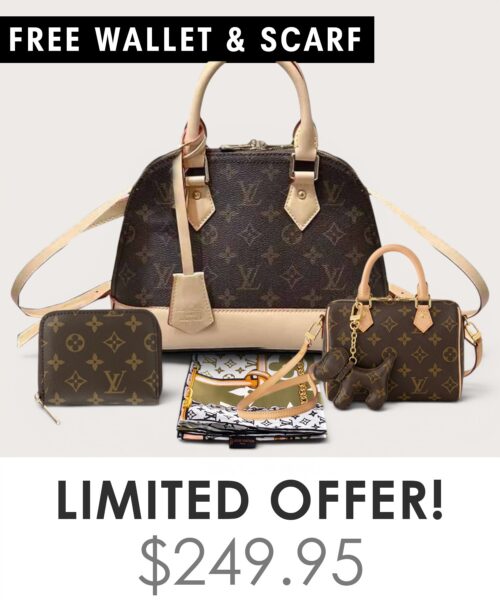 Bag + Nano speedy + Gifts (Free LV Wallet + Free LV Silk Scarf)