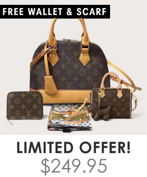 Bag + Nano speedy + Gifts (Free LV Wallet + Free LV Silk Scarf)