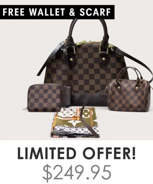 Bag + Nano speedy + Gifts (Free LV Wallet + Free LV Silk Scarf)
