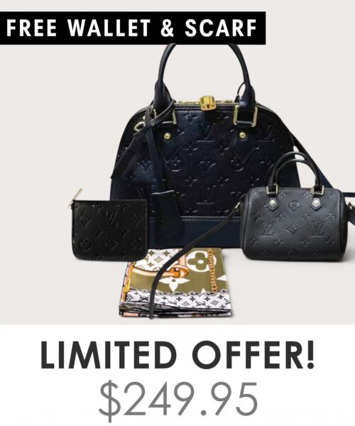 Bag + Nano speedy + Gifts (Free LV Wallet + Free LV Silk Scarf)
