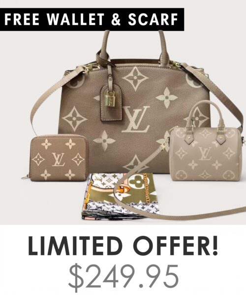 Bag + Nano speedy + Gifts (Free LV Wallet + Free LV Silk Scarf)