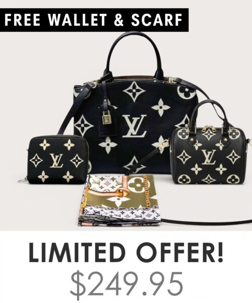 Bag + Nano speedy + Gifts (Free LV Wallet + Free LV Silk Scarf)