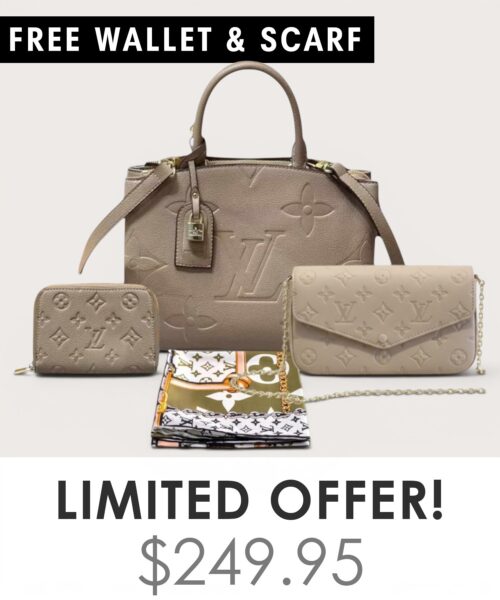 Bag + Pochette Felicie + Gifts(Free LV Wallet + Free LV Silk Scarf)