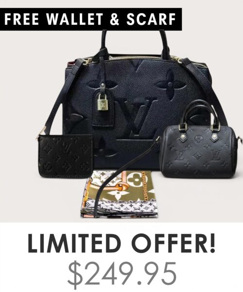 Bag + Nano speedy + Gifts (Free LV Wallet + Free LV Silk Scarf)