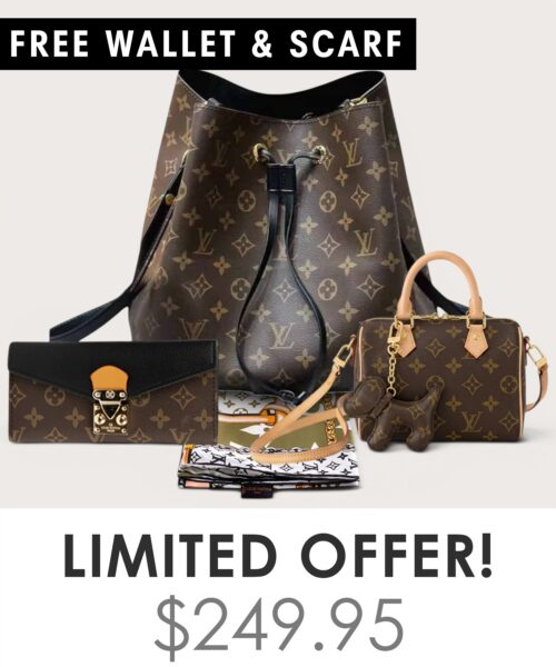 Big bag + Nano speedy + Gifts (Free LV Wallet + Free LV Silk Scarf)