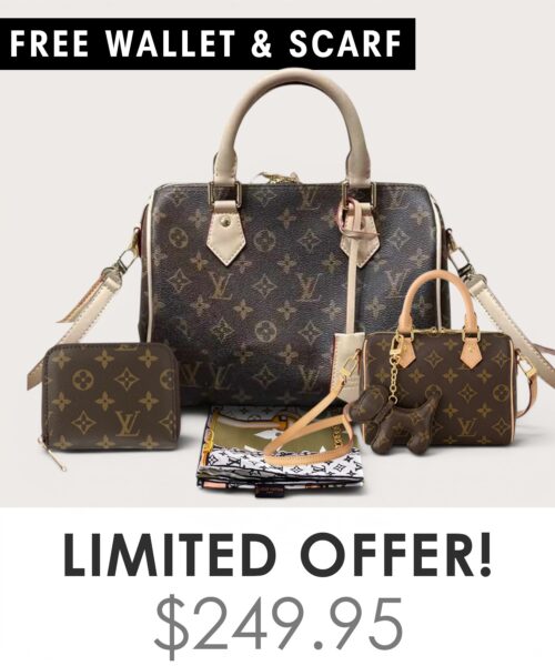 Bag + Nano speedy + Gifts (Free LV Wallet + Free LV Silk Scarf)