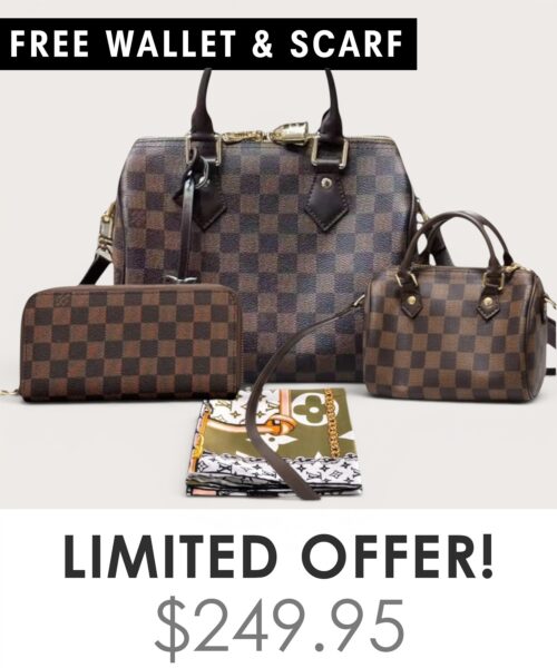Bag + Nano speedy + Gifts (Free LV Wallet + Free LV Silk Scarf)