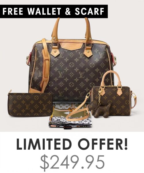 Bag + Nano speedy + Gifts (Free LV Wallet + Free LV Silk Scarf)