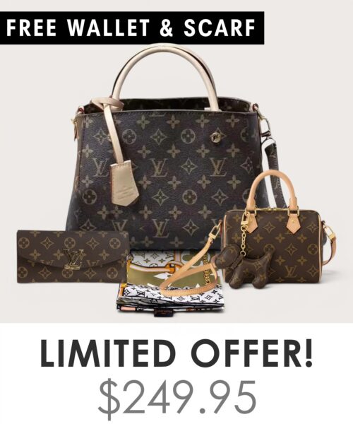 Bag + Nano speedy + Gifts (Free LV Wallet + Free LV Silk Scarf)