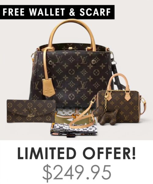 Bag + Nano speedy + Gifts (Free LV Wallet + Free LV Silk Scarf)