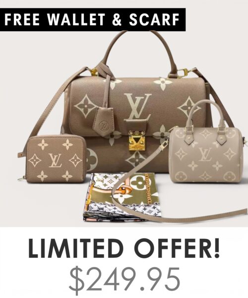 Big bag + Nano speedy + Gifts (Free LV Wallet + Free LV Silk Scarf)