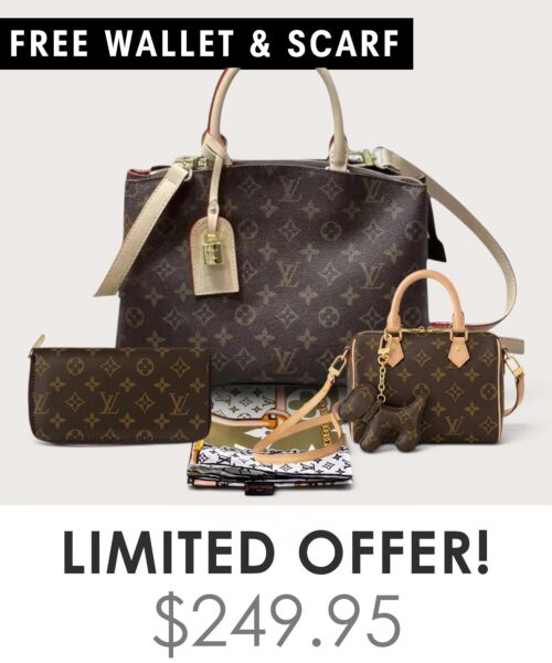 Bag + Nano speedy + Gifts (Free LV Wallet + Free LV Silk Scarf)