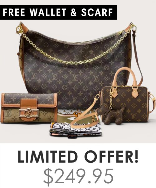 Big bag + Nano speedy + Gifts (Free LV Wallet + Free LV Silk Scarf)