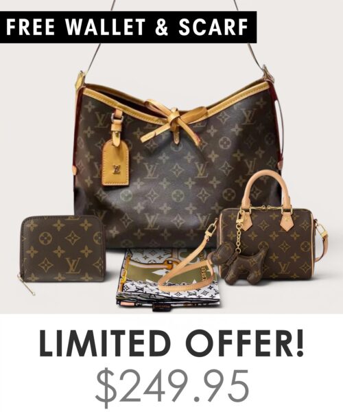 Bag + Nano speedy + Gifts (Free LV Wallet + Free LV Silk Scarf)