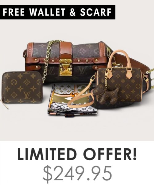 Big bag + Nano speedy + Gifts (Free LV Wallet + Free LV Silk Scarf)