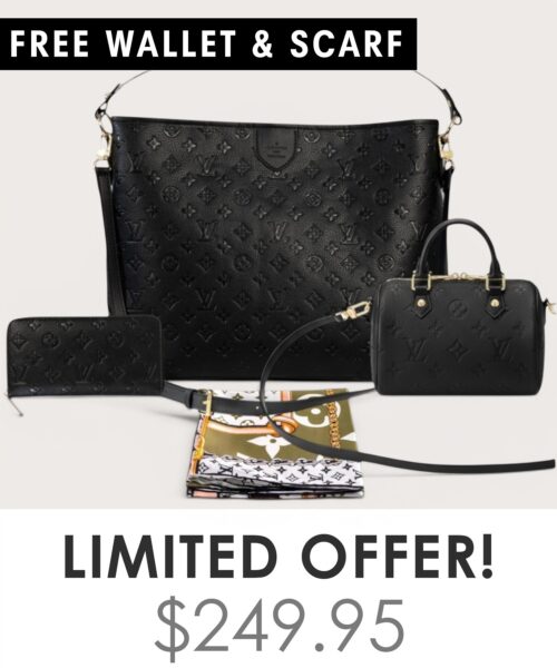 Bag + Nano speedy + Gifts (Free LV Wallet + Free LV Silk Scarf)