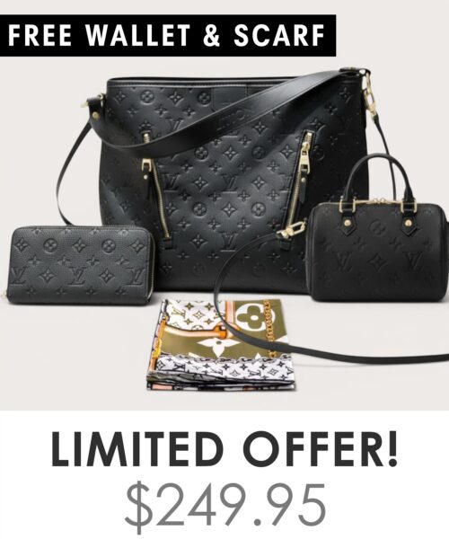 Bag + Nano speedy + Gifts (Free LV Wallet + Free LV Silk Scarf)