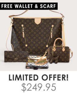 Big bag + Nano speedy + Gifts (Free LV Wallet + Free LV Silk Scarf)