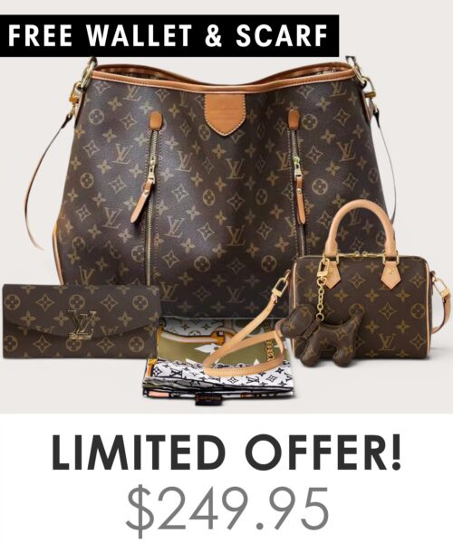 Bag + Nano speedy + Gifts (Free LV Wallet + Free LV Silk Scarf)